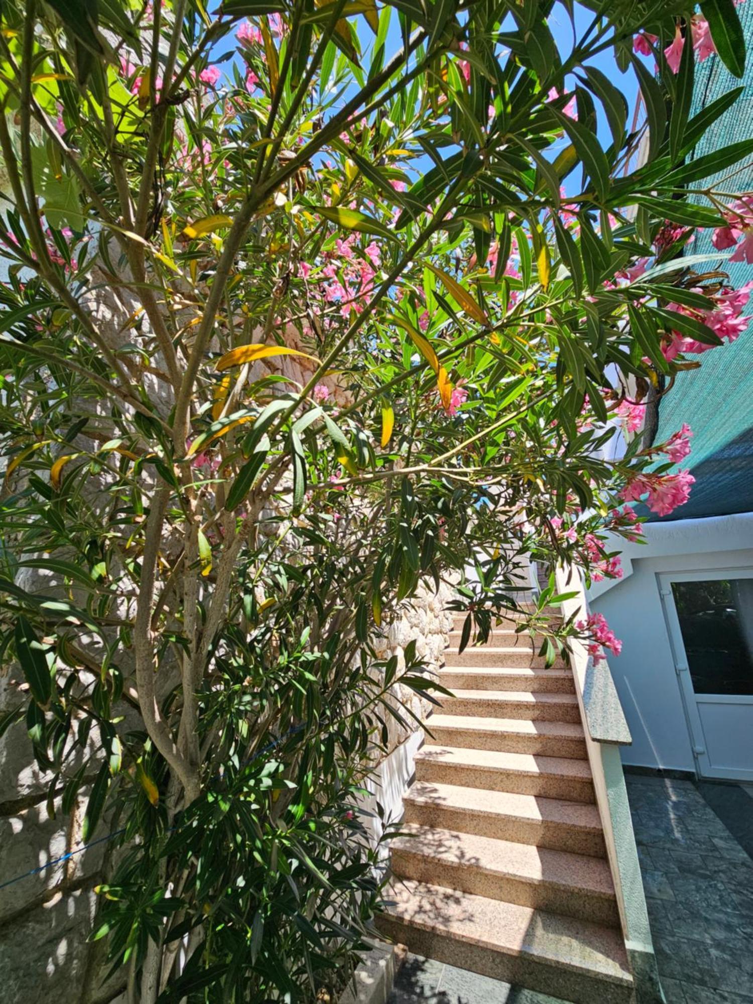 Apartments Bahar Krk Krk Town Exterior photo